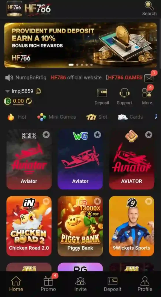 HF 786 Game